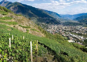 Incontri a Sondrio